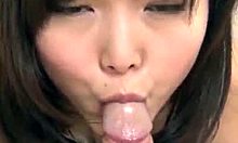 Nyd Shino Aoi's sensuelle blowjob på CARIBBEANCOM